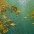 20120227235442-gallup