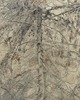 20120228193212-treecut