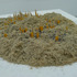 20120229030048-smith_lauren_10
