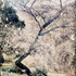 20120229043433-ndf_meritorious