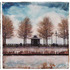 20120229044214-harboringtrees