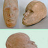 20120229052358-clay_head_3up