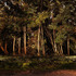 20120229101220-band_joshua_2