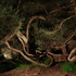 20120229101302-band_joshua_3