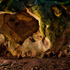 20120229101436-band_joshua_04