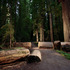 20120229101618-band_joshua_06