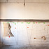 20120229102458-_mg_5121