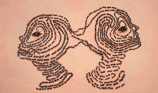 Pheromones,Aubrey Learner