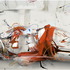 20120301080658-whathave_650