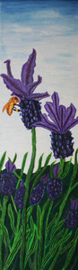 20120229230543-morning-lavender16x56