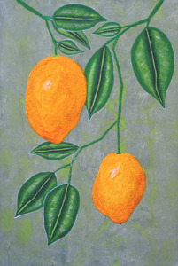 20120229230835-two-lemons