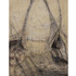 20120301074019-carboniferous-38