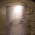 20120301093530-caress_3