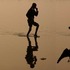20120301100917-yamuna-morning--iir