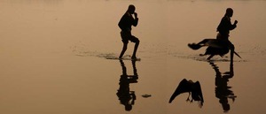 20120301100917-yamuna-morning--iir