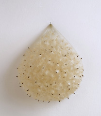 Samenbeutel / Seed Bag,Christiane Löhr