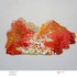 20120301162137-wild_photons
