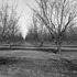 20120302005431-20120128-_dsc4742bw