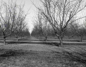 20120302005431-20120128-_dsc4742bw