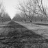 20120302005648-20120128-_dsc4744bw