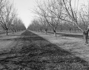 20120302005648-20120128-_dsc4744bw