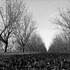 20120302005813-20120128-_dsc4750bw