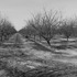 20120302005942-20120128-_dsc4786bw