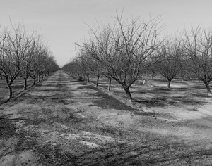 20120302005942-20120128-_dsc4786bw