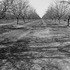 20120302010110-20120128-_dsc4790bw