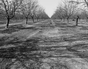 20120302010110-20120128-_dsc4790bw