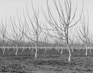 20120302010235-20120128-_dsc4796bw