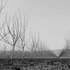 20120302010406-20120128-_dsc4805bw