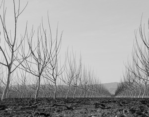 20120302010406-20120128-_dsc4805bw