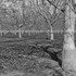 20120302010548-20120128-_dsc4843bw