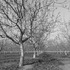 20120302010700-20120128-_dsc4847bw