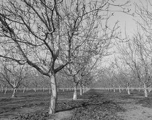 20120302010700-20120128-_dsc4847bw