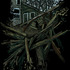 20120302051631-howitends