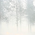 20120302222603-04_inf523