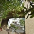 20120303000400-dsc_1008