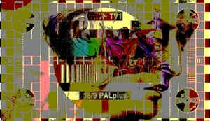 20120303084938-exquisite_test_pattern_copy