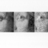 20120303122457-3_stages_of_restoration_001_copy