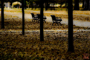 20120314153102-liberty_park_1