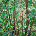 20120304130334-15--3312