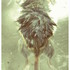 20120304175933-mostly_crap_164
