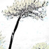 20120304201712-digital-tree-scape_5_as_mg_9823