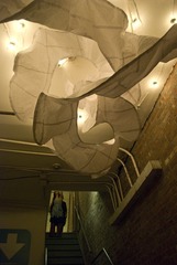 Spiraling,Xochitl Gil-Higuchi