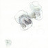 20120305040359-cosmos_7