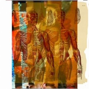 20120305121031-double_anatomy_with_digital_errors_2_12