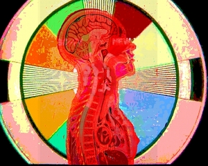 20120305121228-woman_in_half_12_11