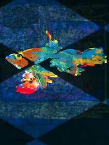 20120305121353-digital_error_fish__12_11